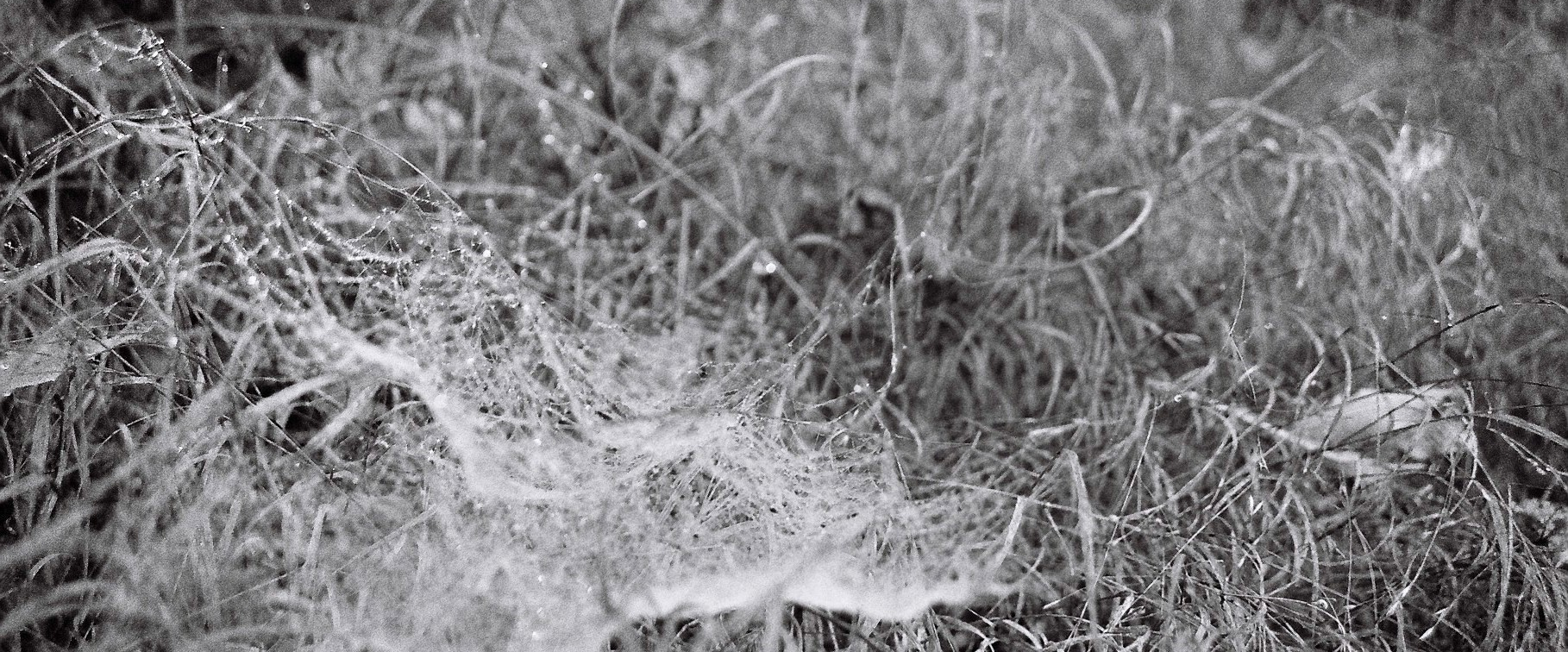 Carpathian Mountains, autumn 2008